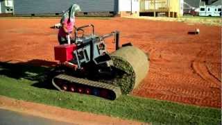 HOW TO LAY SOD BERMUDA GRASS LAYING MACHINE [upl. by Hermie]