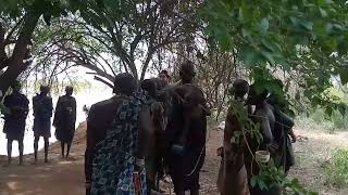 Surma tribe group dance africantribe [upl. by Arlette]