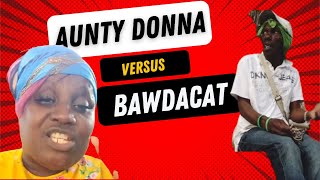 Jamaica Is Not A Real Place Aunty Donna Versus Bawda Cat Island Girl Vybes [upl. by Yssirk]