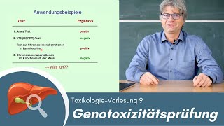 Toxikologie erklärt Genotoxizitätsprüfung Vorlesung 9 [upl. by Florie]