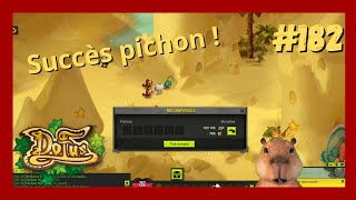 Succès des pichons   Dofus 182  FR [upl. by Lipkin]