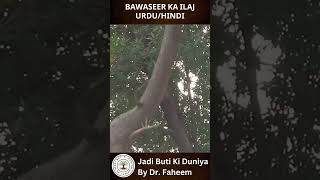 Bawaseer Ka Ilaj UrduHindi  Piles Treatment Fahim Herbalist [upl. by Ssalguod]