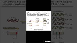 Semiconservative DNA Replication Meselson amp Stahls experiment Biology  NCERT NEETclass 12 [upl. by Icats312]