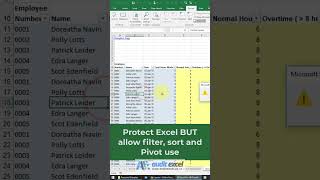 Protect Excel BUT allow filtering sorting and pivoting [upl. by Aitnwahs897]