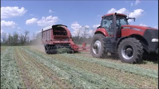 The Sharp Edge Adding value with cereal rye [upl. by Yrennalf]