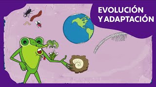 Evolución y adaptación  Planeta Darwin  Ciencias naturales [upl. by Mcfadden]