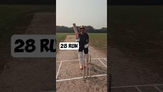 Will I be able to chase 28 runs  shorts cricket runchase [upl. by Karlis154]