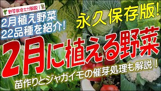 2月に植える野菜（22品種）永久保存版 [upl. by Attiuqaj418]