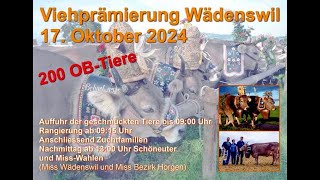 Viehprämierung Wädenswil 2024 [upl. by Chucho]