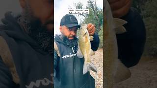 Small Mouth Bass On Susquehanna River… fishing smallmouthbass subscribe [upl. by Radbun]