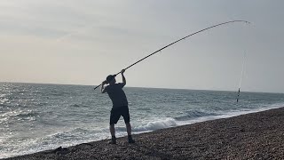 What a RESULT Chesil Beach sea fishing at Ferrybridge searching for a Summer Cod with a bonus fish👍 [upl. by Ylle]