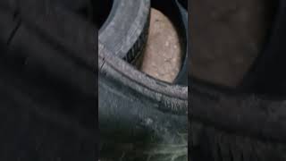 Tyres Sale secondhand tyre Size 195 65 r16 [upl. by Kumler]