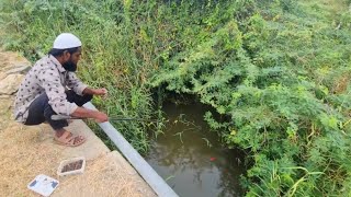 amazing fishing with hook hit red billed fishes in every single top  fishing video fish fishing [upl. by Gayel]