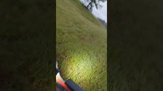 lawncare farming grass turfgrass equestrian ocalafl [upl. by Akenna]