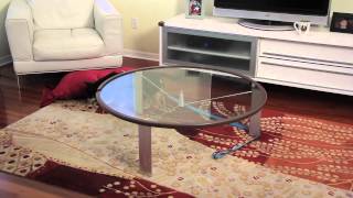 How to Stop Dogs From Soiling Rugs  Tips for Dog Lovers [upl. by Puri]