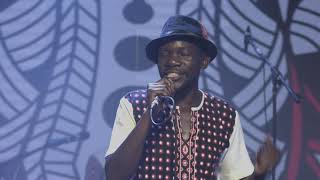 MOKOOMBA AFRICA IS MOTHER CONCERT PERFOMANCE [upl. by Mixam455]