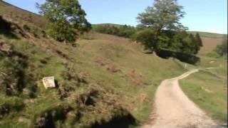 Yorkshire Dales Country Walk  Ashfold Side Beck to Pateley Bridge Part 2 [upl. by Kwapong788]