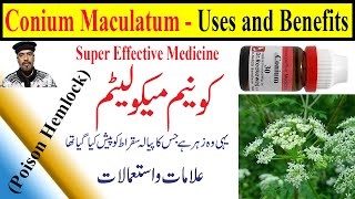 Conium 30 200 1M1000 homeopathic medicine uses in HindiUrdu  Conium Mac homeopathic benefits [upl. by Eleanor]