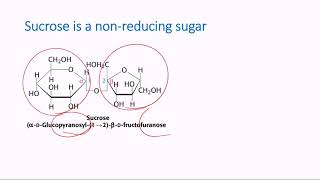 Nonreducing Sugars [upl. by Akcirederf]