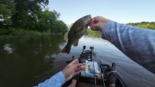 Incredible Topwater Day wBPS Chaos Shad [upl. by Nomsed57]