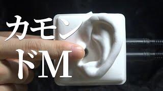 ASMR 耳珠をタッピング Tragus Tapping  SR3D No Talking [upl. by Annoet]