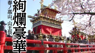 春ノ高山、屋台美 ～山王祭 岐阜県高山市・日枝神社～  Sanno Matsuri [upl. by Fattal]