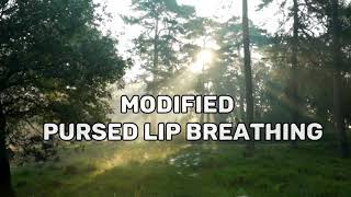 Modified Pursed Lip Breathing Remove the air trapped in your lungs [upl. by Dewees803]