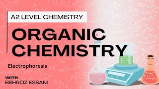 A2 Level Chemistry  Amino Acid Electrophoresis [upl. by Sibyl760]