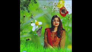 Shoitepari nareDayal re সইতে পারি নারে দয়াল রে Prem bissed Singer Miss ROZI Stage performance sad [upl. by Gregory523]