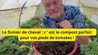 Comment planter vos pieds tomates au FUMIER DE CHEVAL pour un maximum de belles tomates [upl. by Sgninnej]