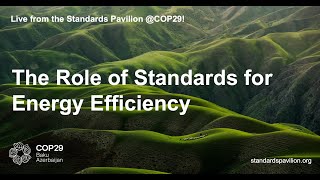 The Role of Standards for Energy Efficiency [upl. by Fitzgerald]