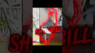 Best screaming animals 🤣😂💀☠️😈 shorts shortsfeed animals animal troll edit viralvideo [upl. by Aniahs]