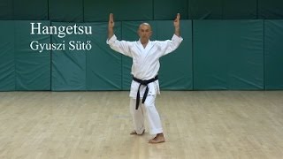 Hangetsu Kata [upl. by Lister155]