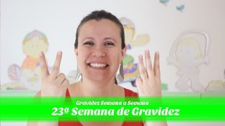 23ª Semana de gestação [upl. by Hanikas935]