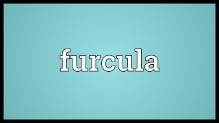 Furcula Meaning [upl. by Hanas]