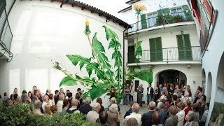 Alberto Nessi presentando il murale quotTarassacoquot di Mona Caron [upl. by Marmaduke]