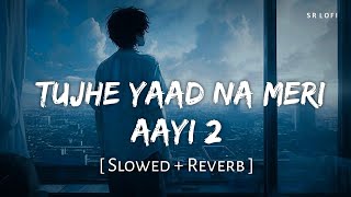 Tujhe Yaad Na Meri Ayee 2 Slowed  Reverb  B Praak Jaani  SR Lofi [upl. by Aihsad]