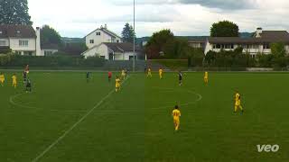 FCO  FC Greifensee 21 [upl. by Clement976]