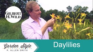 How to Plant and Care for Daylilies  Garden Style 1906 [upl. by Filler]