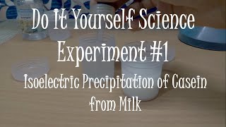 Extraction of casein and lactose from milk [upl. by Joelynn]