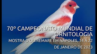 Vai começar o 70° Campeonato Mundial de Ornitologia em Napoles na Itália [upl. by Yejus909]