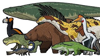 PREHISTORIC LIFE  Animated Size Comparison [upl. by Anhoj838]