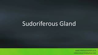 Pronunciation of the words quotSudoriferous Glandquot [upl. by Ahcas]