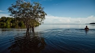 Hidrelétricas do Tapajós  O custo ambiental de 7 barragens [upl. by Rellim]