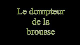 Hymne National du Sénégal et ses autres couplets à la fin hymne afrique senegal [upl. by Siramaj]