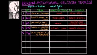 Eriksonun Psikososyal Gelişim Teorileri Sosyoloji  Bireyler ve Toplum [upl. by Tocs]