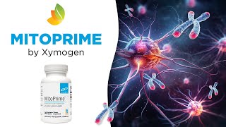 Protect Your Brain Cells amp Telomeres  MitoPrime Review [upl. by Anneiv888]