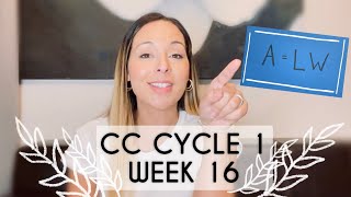 CC Cycle 1 week 8 geography [upl. by Nnod]