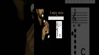 How to play C major Scale on the Recorder Shorts [upl. by Raffaj292]