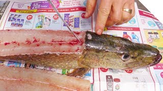 How to Fillet a Pike and Get 5 Boneless Fillets [upl. by Alrac560]